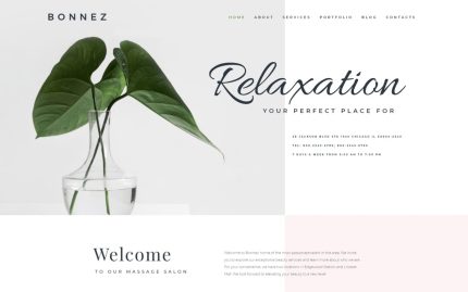 Bonnez massage salon ready to use minimal wordpress elementor theme.jpg