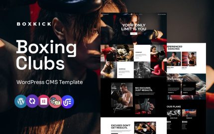 Boxkick boxing club and training school wordpress elementor theme.jpg