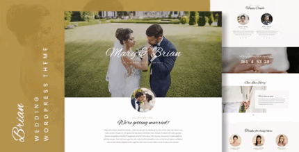 Brian wedding wordpress theme codermarket.png