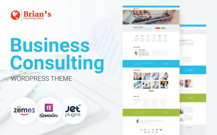 Brians consulting multipurpose classic elementor.jpg