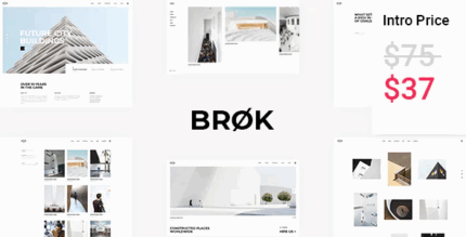 Brok architecture theme codermarket.png