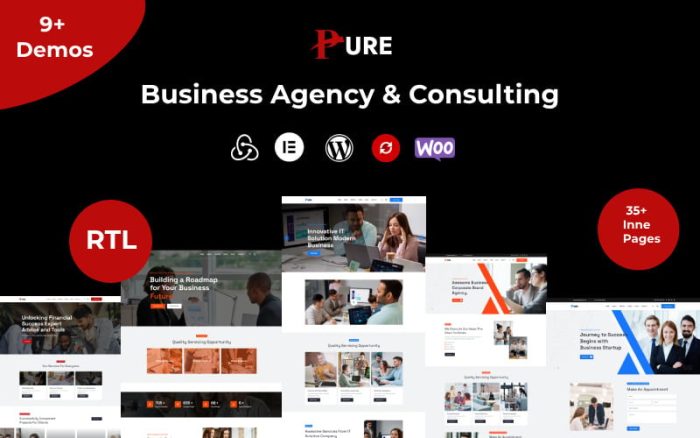 Business agency consulting wordpress theme.jpg