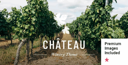 Chateau winery and wine shop theme codermarket.png