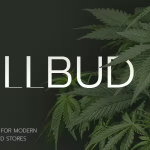 Chillbud medical marijuana and cannabis theme codermarket.png