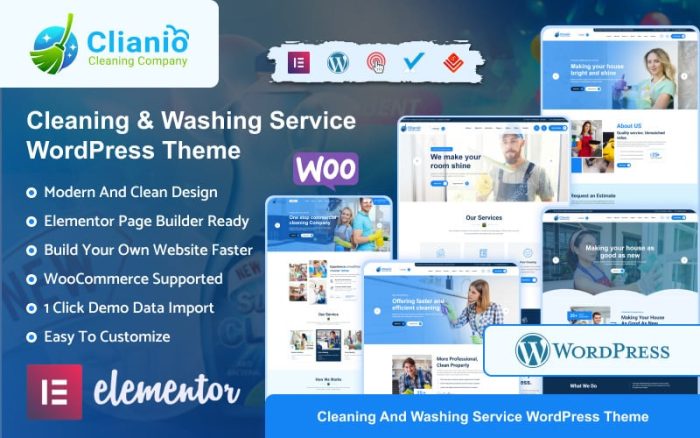 Clianio cleaning services wordpress theme.jpg