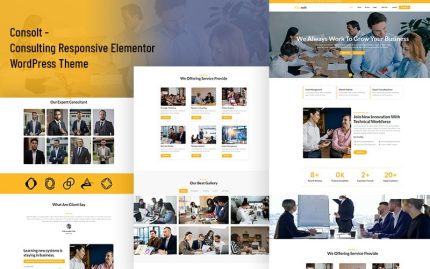 Consolt consulting and services provider company responsive elementor.jpg
