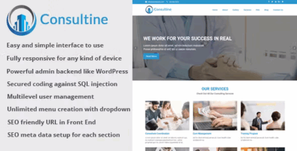 Consultine consulting business and finance website cms codermarket.png