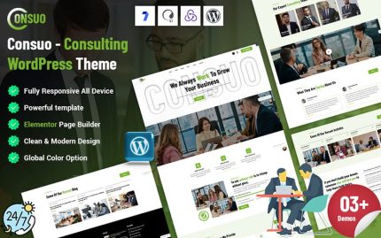 Consuo consulting wordpress theme.jpg