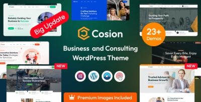 Cosion business consulting wordpress theme codermarket.jpg