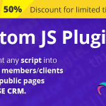 Custom js plugin for rise crm codermarket.png