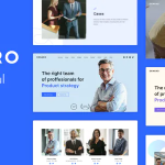 Denaro marketing agency theme codermarket.png