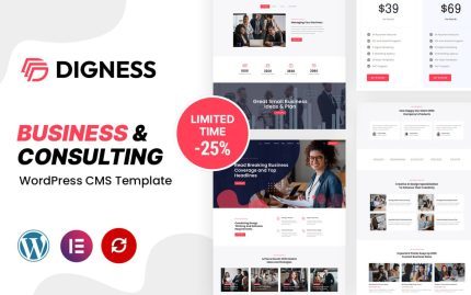 Digness consulting business wordpress theme.jpg