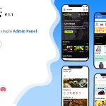 Dtweb convert website to a flutter app multiple webapp supprot laravel.png