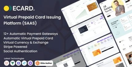 E card virtual prepaid card issuing platform stripe powered saas .jpeg