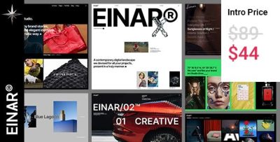 Einar design agency wordpress theme codermarket.jpeg