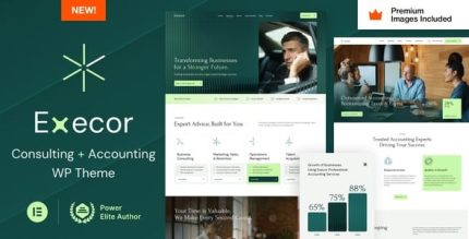Execor accounting and management consulting wordpress theme codermarket.jpg