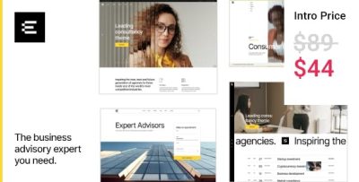 Expertise business consulting wordpress theme codermarket.jpeg