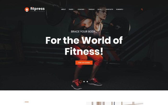 Fitpress fitness gym wordpress theme.jpg