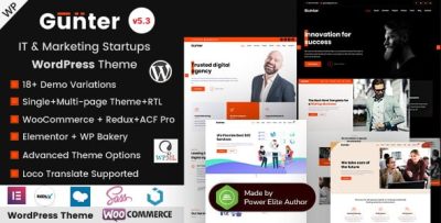 Gunter it company seo marketing portfolio wordpress theme codermarket.jpg