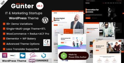 Gunter it company seo marketing portfolio wordpress theme codermarket.jpg