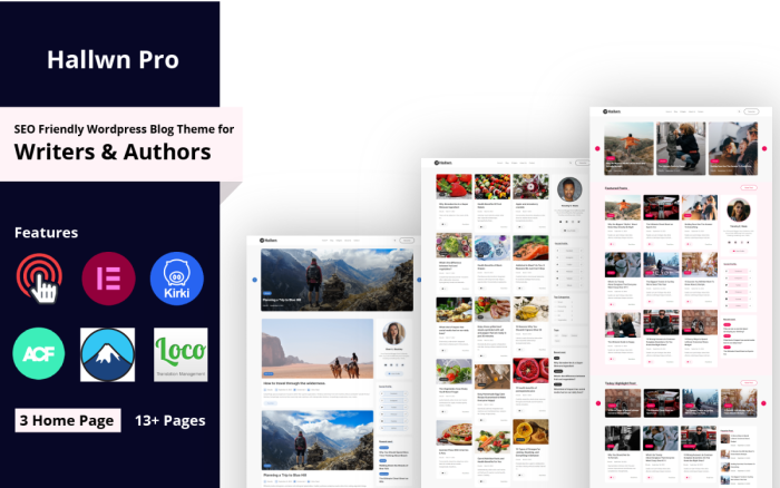 Hallwn pro personal seo friendly wordpress blog theme.png