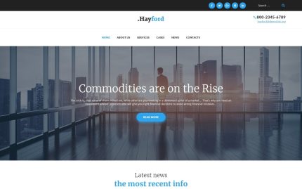 Hayford investment consulting services responsive wordpress theme.jpg
