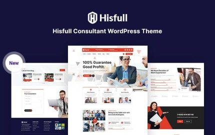 Hisfull consultant responsive wordpress theme.jpg