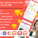 Holala live random video voice calls earning system minutes codermarket.png