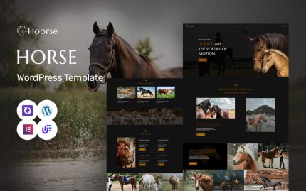 Hoorse horse riding school horse racing and equestrian center wordpress.jpg