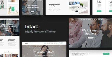 Intact multi purpose wordpress theme codermarket.jpeg