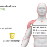 Interactive human anatomy wordpress plugin codermarket.png