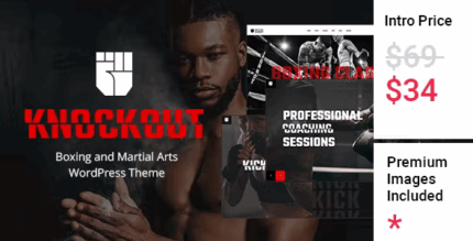 Knockout boxing martial arts theme codermarket.png