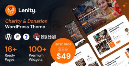 Lenity charity donation wordpress theme codermarket.jpg