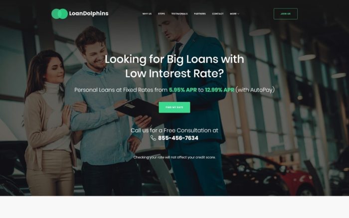 Loan dolphins loan company one page wordpress theme.jpg
