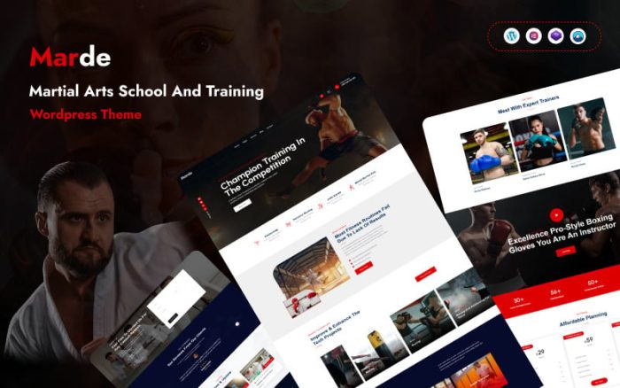 Marde martial arts school and training wordpress theme.jpg