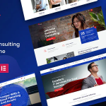 Miva business consulting wordpress theme codermarket.png