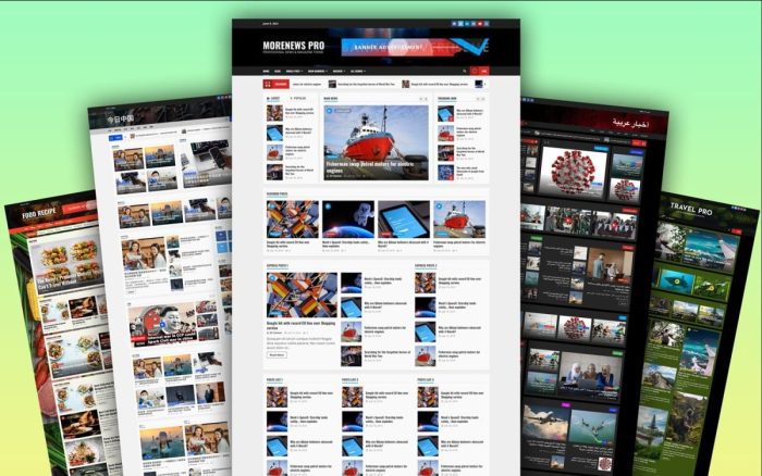 Morenews pro professional wordpress theme for news blog and magazine.jpg