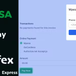 Mpesa gateway perfex crm module codermarket.png