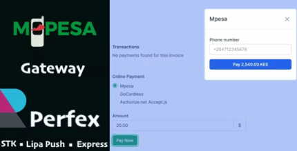 Mpesa gateway perfex crm module codermarket.png