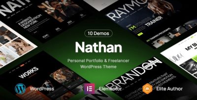Nathan personal resume cv portfolio wordpress theme codermarket.jpg