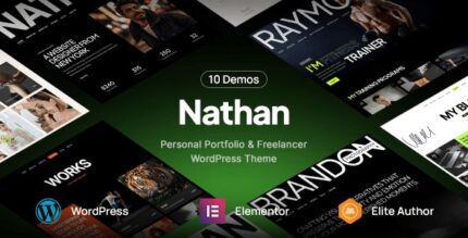 Nathan personal resume cv portfolio wordpress theme codermarket.jpg