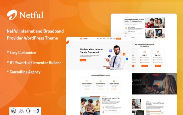 Netful internet and broadband provider wordpress theme.jpg