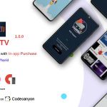 Nettv iptv with admin panel codermarket.png