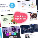 Nexelit multipurpose website business management system cms codermarket.png
