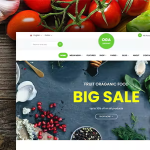 Oga elementor woocommerce theme codermarket.png