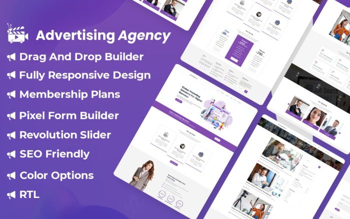 Online advertising agency wordpress theme.jpg