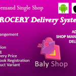 Online shopping application with delivery baly shop food grocery delivery .png