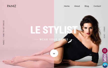Paniz fashion and apparel wordpress elementor theme.png