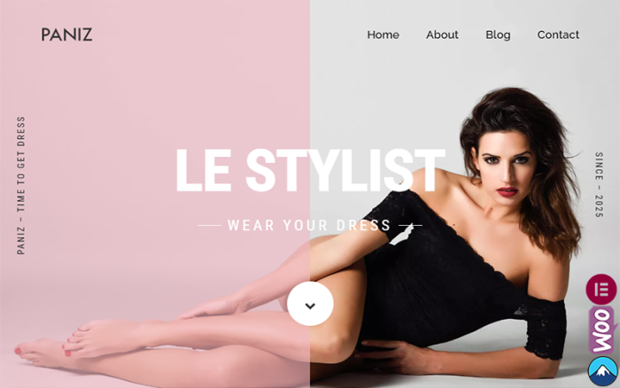 Paniz fashion and apparel wordpress elementor theme.png