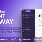 Paymoney secure online payment gateway codermarket.png